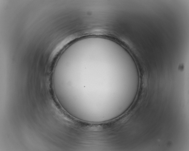 X0000113101410200909111040
