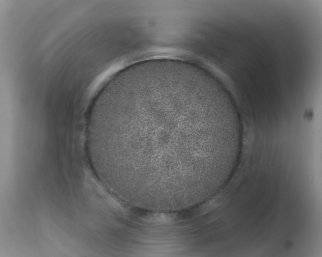 X0000113101411200909111040
