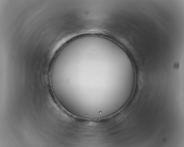 X0000113101412200909111040