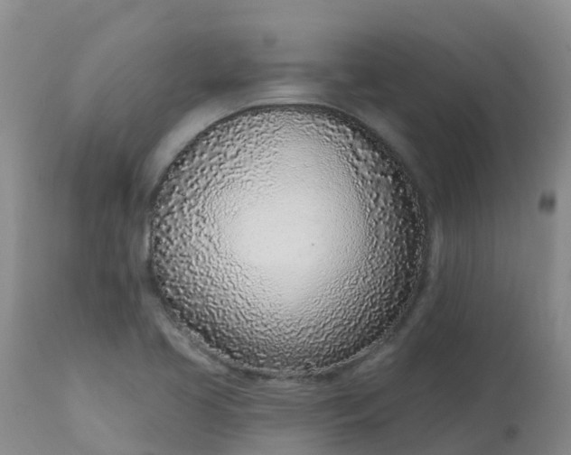 X0000113101413200909111040
