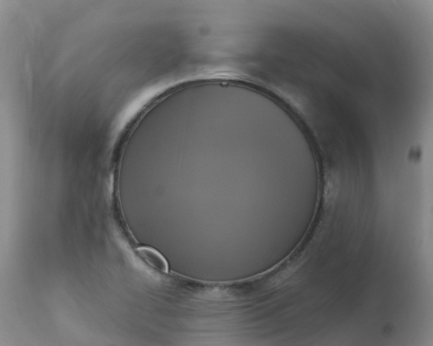 X0000113101414200909111040