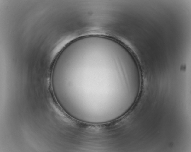 X0000113101415200909111040