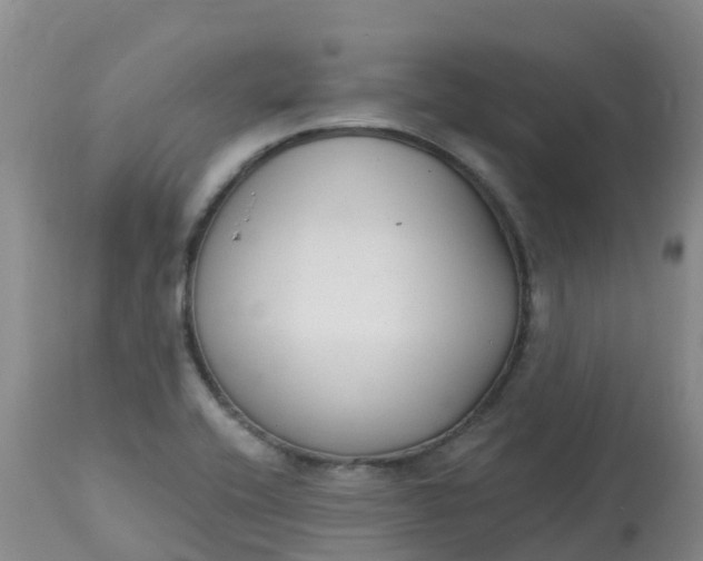 X0000113101416200909111040