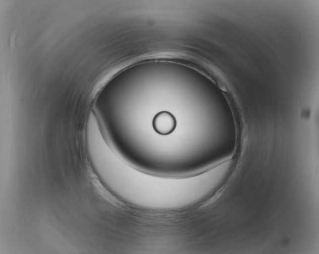 X0000113101417200909111040