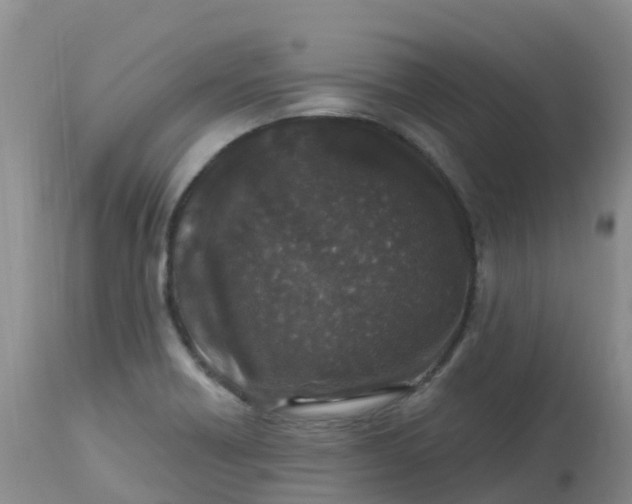 X0000113101418200909111040