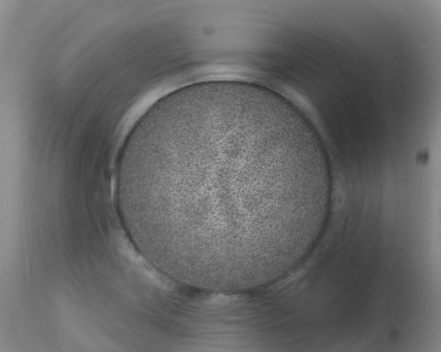 X0000113101419200909111040
