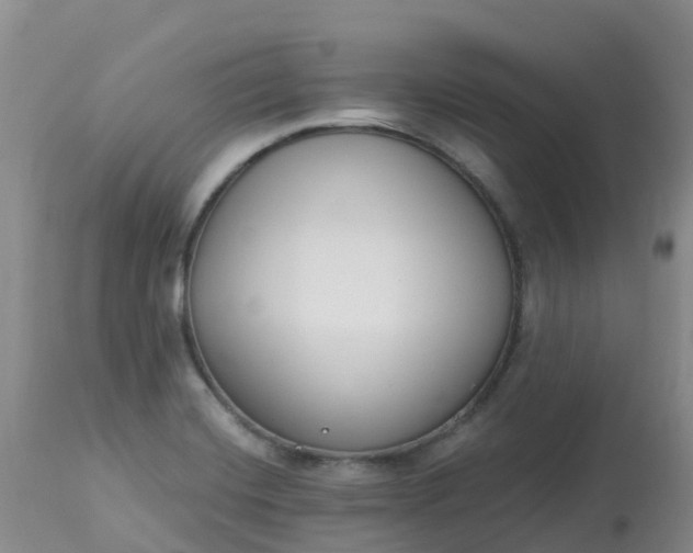 X0000113101420200909111040
