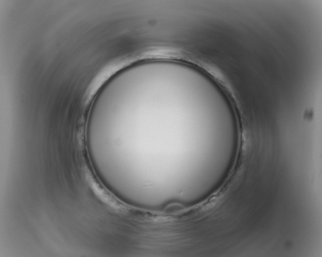 X0000113101421200909111040