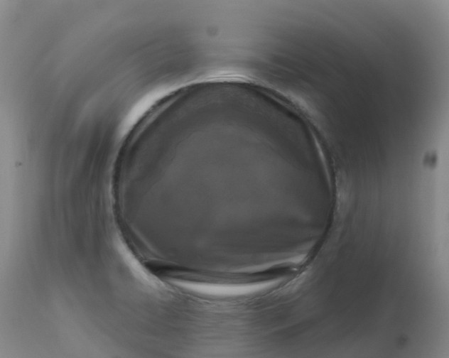 X0000113101422200909111040