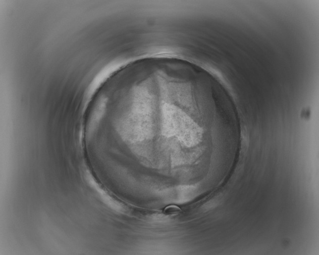 X0000113101424200909111041