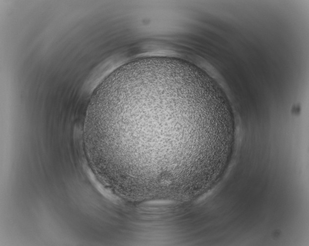 X0000113101425200909111041