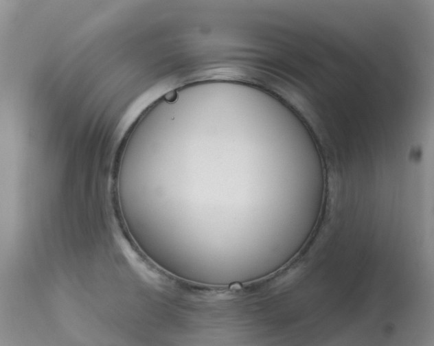 X0000113101426200909111041