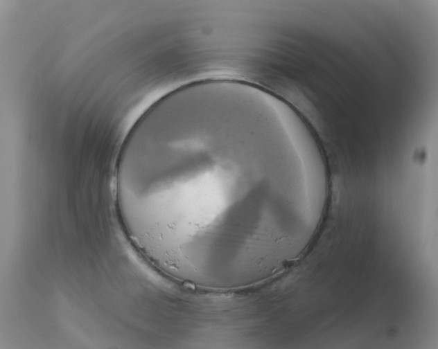X0000113101428200909111041
