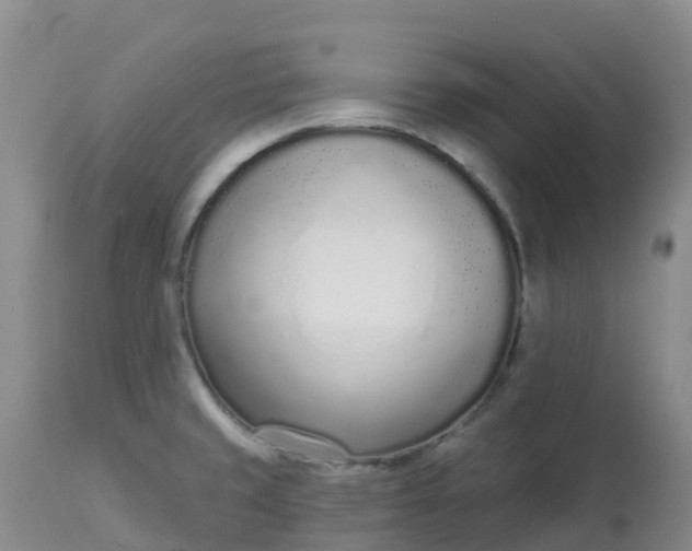 X0000113101429200909111041