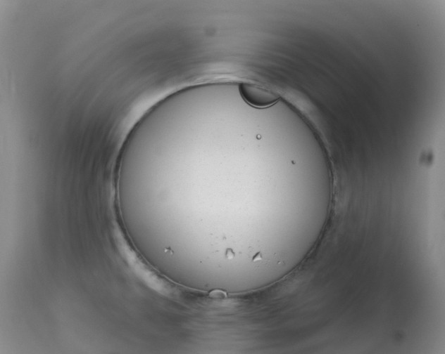 X0000113101431200909111041