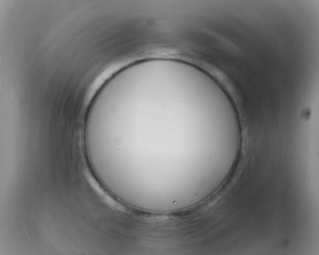 X0000113101432200909111041