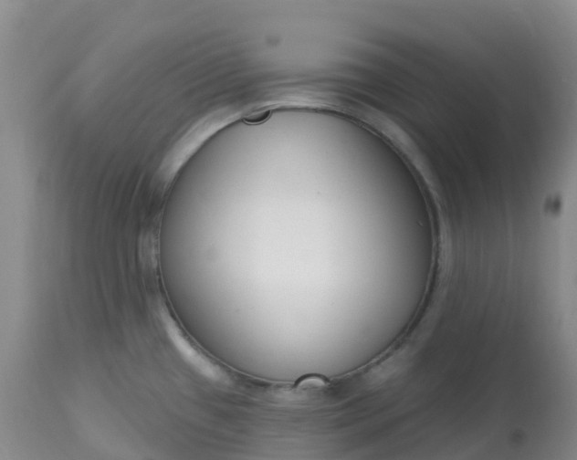 X0000113101433200909111041