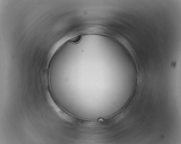 X0000113101434200909111041