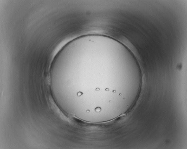 X0000113101436200909111041