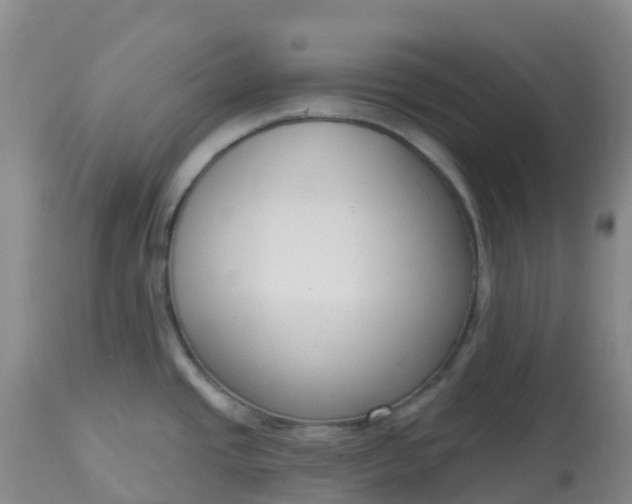 X0000113101437200909111041