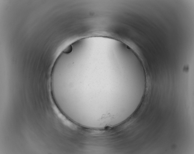 X0000113101439200909111041