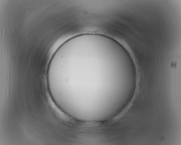 X0000113101440200909111041