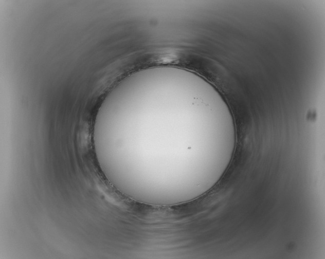 X0000113101442200909111040