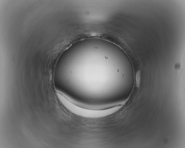 X0000113101443200909111040