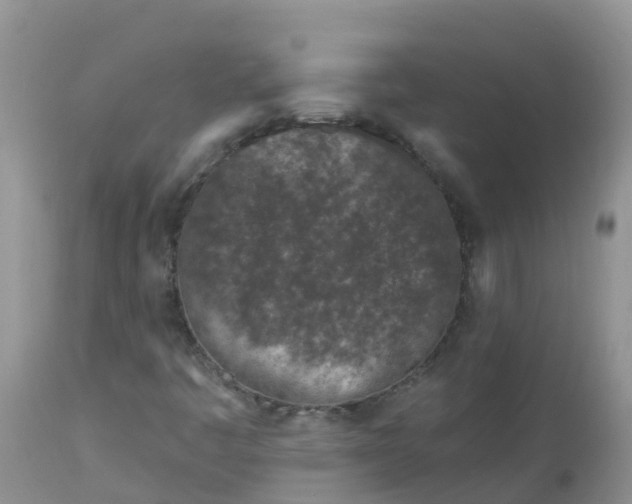 X0000113101445200909111040