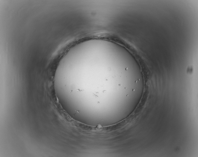 X0000113101447200909111039
