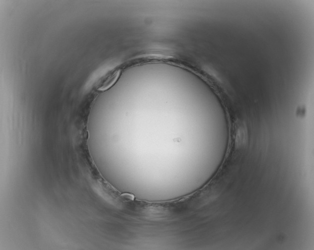 X0000113101448200909111039