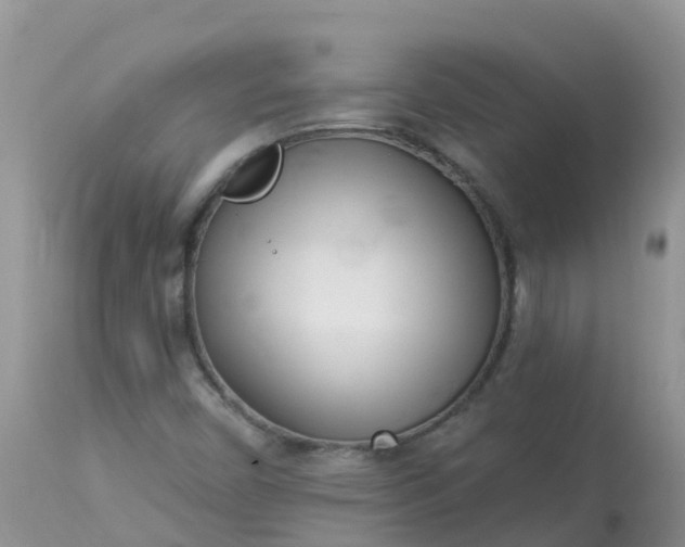 X0000113101450200909111039