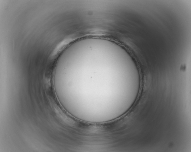 X0000113101451200909111039