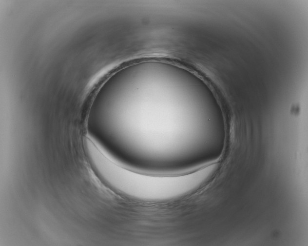 X0000113101452200909111039