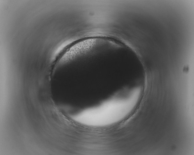 X0000113101453200909111039