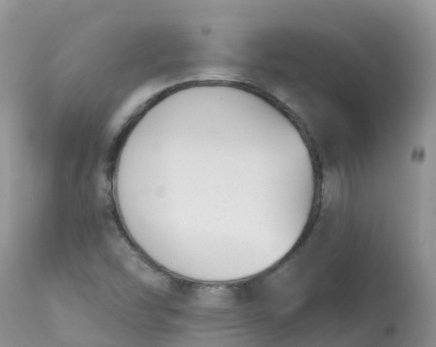 X0000113101454200909111039