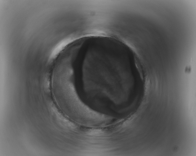 X0000113101455200909111039