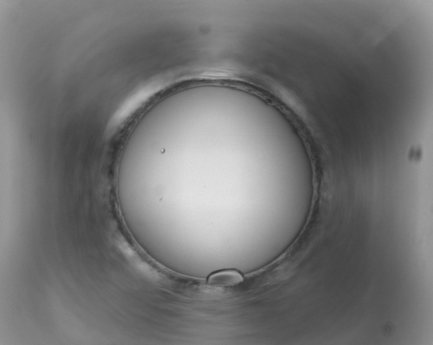 X0000113101456200909111039