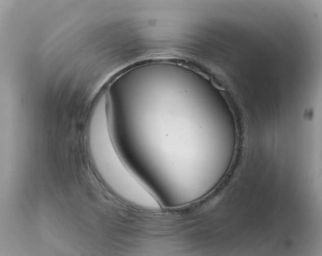 X0000113101457200909111039