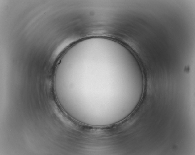 X0000113101458200909111039