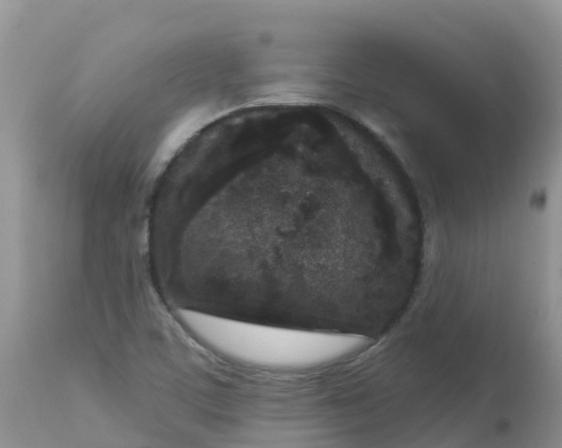 X0000113101459200909111039