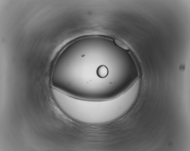 X0000113101460200909111039