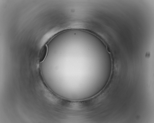 X0000113101461200909111039