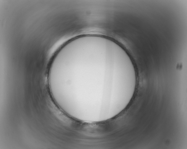 X0000113101462200909111039