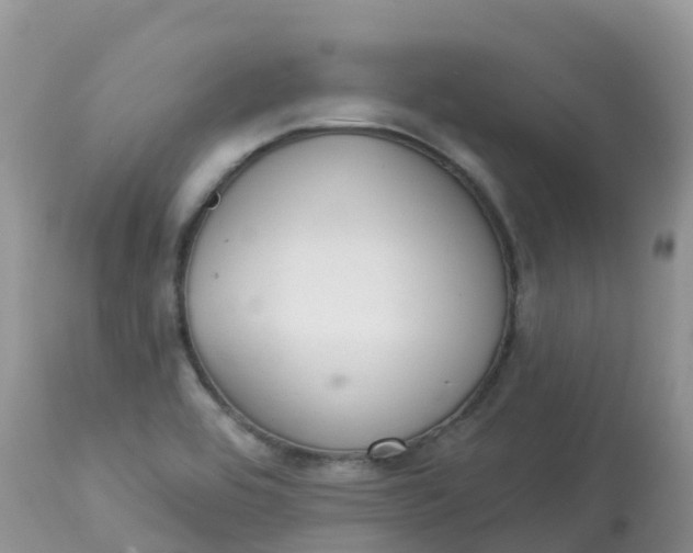 X0000113101464200909111039