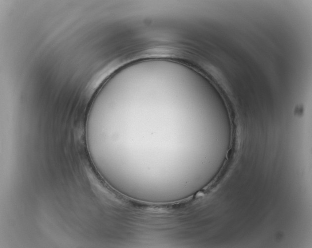 X0000113101465200909111039