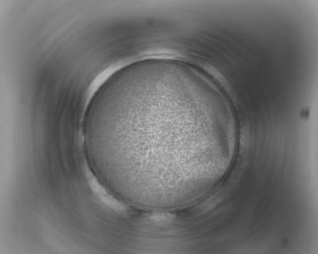 X0000113101466200909111039