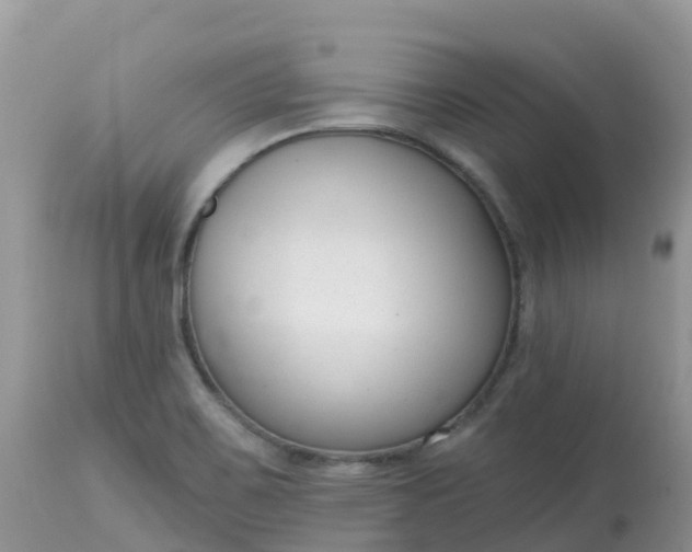 X0000113101467200909111039