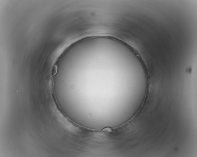 X0000113101472200909111039