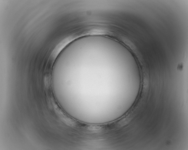 X0000113101473200909111039